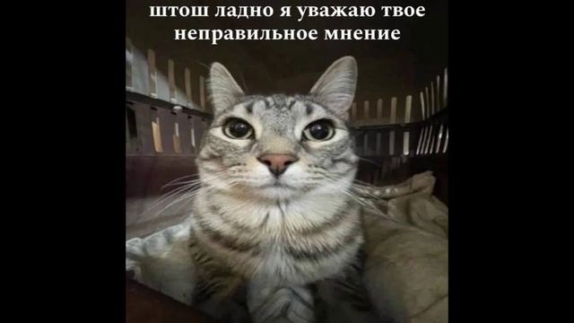 Разговоры с кллекторами 127