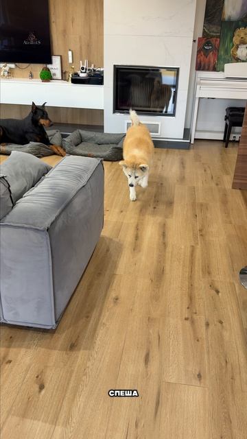 В такие моменты даже воспитание бессильно 🔞