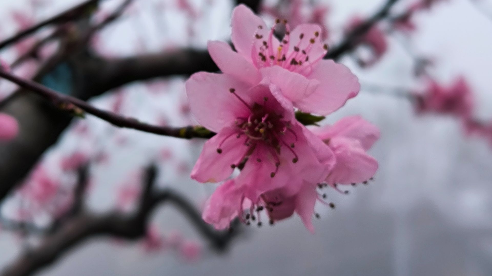 Песенная Медитация 07.04.2026