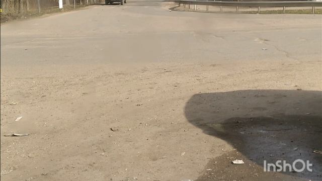 ПОВЕДЕНИЕ ГОЛУБЕЙ:ОТДЫХ,СТЫЧКИ,ОДИН ОСОБЕННЫЙ,ЖИЗНЬ БЕЗ ЛАПКИ.🕊🕊🕊