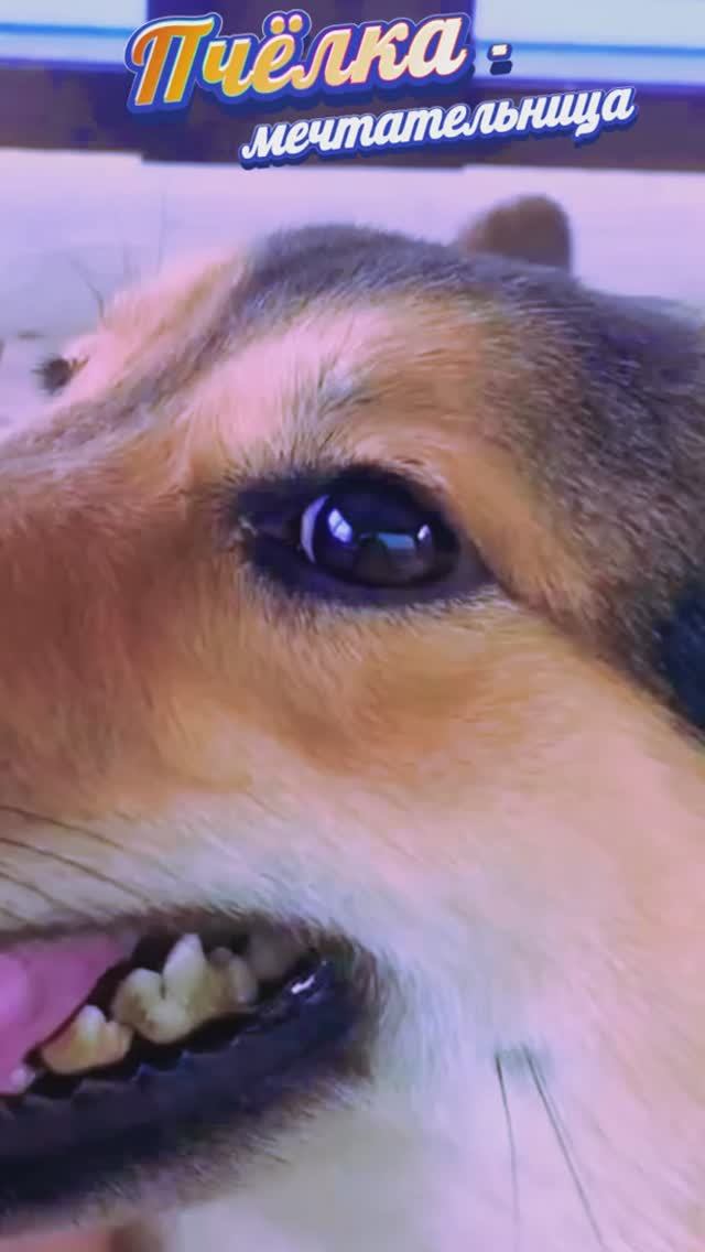 F363524039dfa84d22ea915249e2622d