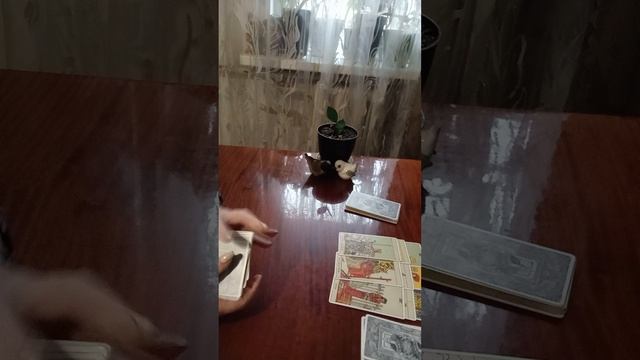 Таро.Разговор между вами.