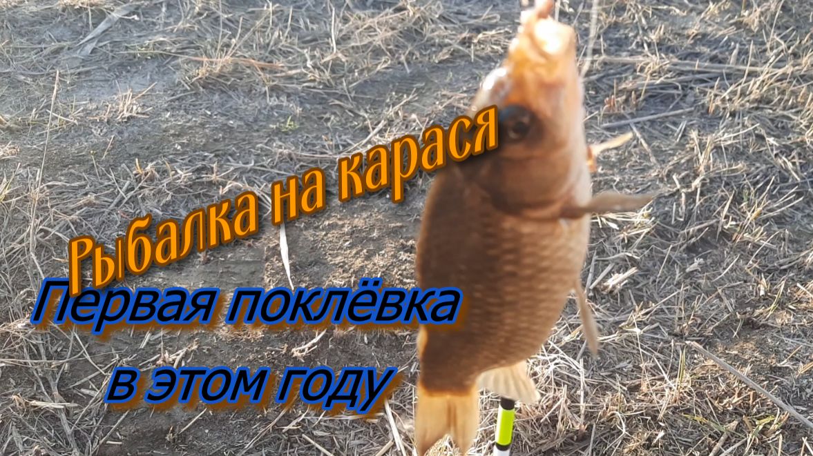 Рыбалка на карася.  Первый выезд в этом году.