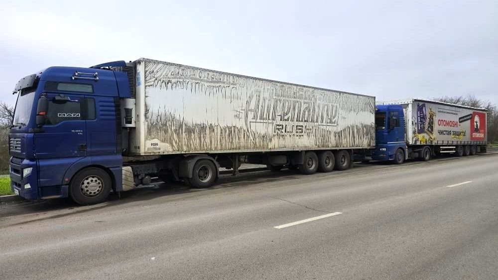 Цыплята доехали глухими) Утеплили  Сергеивича!