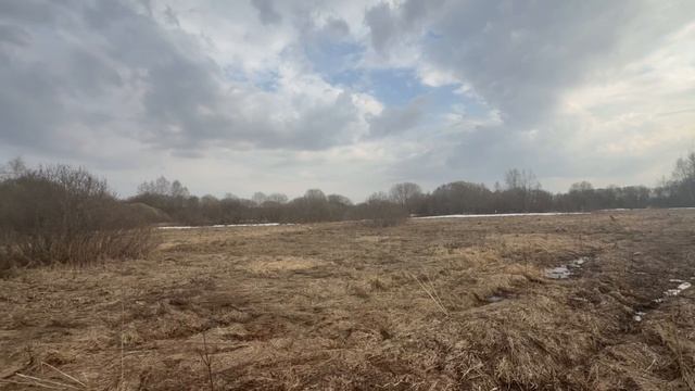 д. Пушкино 50:18:0080430:848