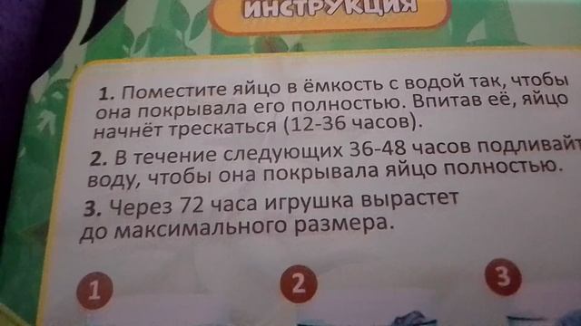 распаковка /Басик закончил учебный год ✌️