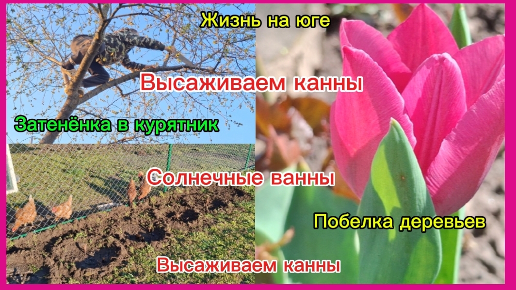 07-04-2026 Мечты сбываются/Живём и трудимся на юге/Канны/Затенёнка/Солнечные ванны/Побелка деревьев/