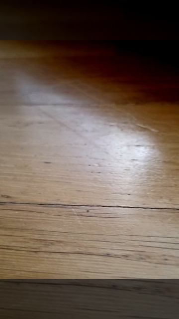 первое видео