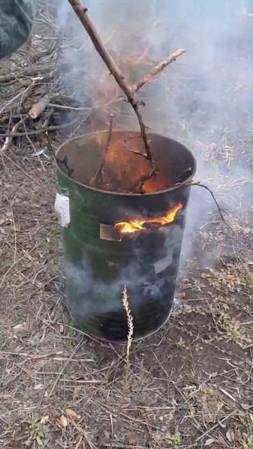 Немного из жизни У - дачника