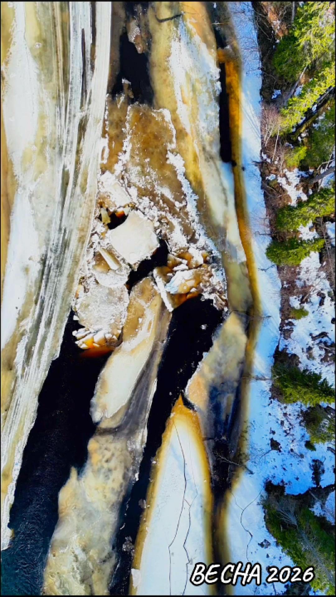 ВЕСНА2026 (часть 5) #путешествие #природа #весна2026