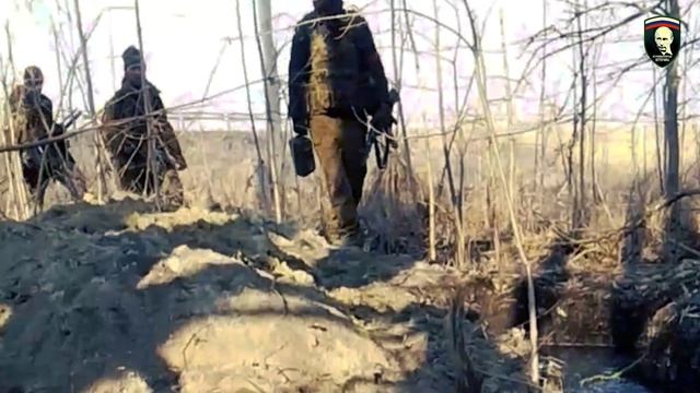 8d6c09add8ac3851c752787f95fb92c0