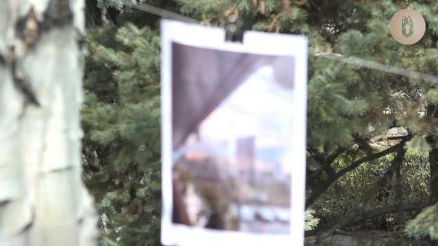 Весна в кадре фотовыставка ко Дню материнства и красоты