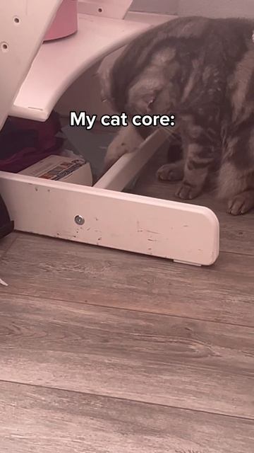 #фембойчикАнгелина