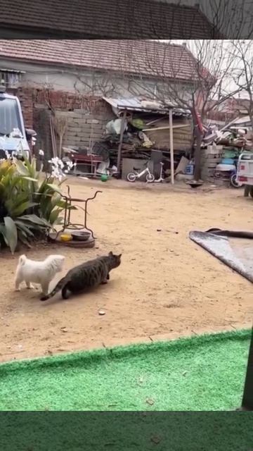 Конспирация, как стиль жизни