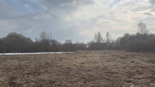 д. Пушкино 50:18:0080430:847