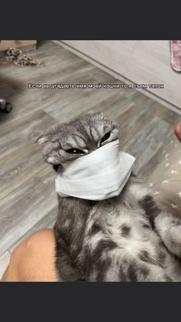 #фембойчикангелина