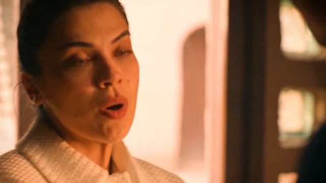 Преемник: Зов предков 22 серия (сериал, 2025)