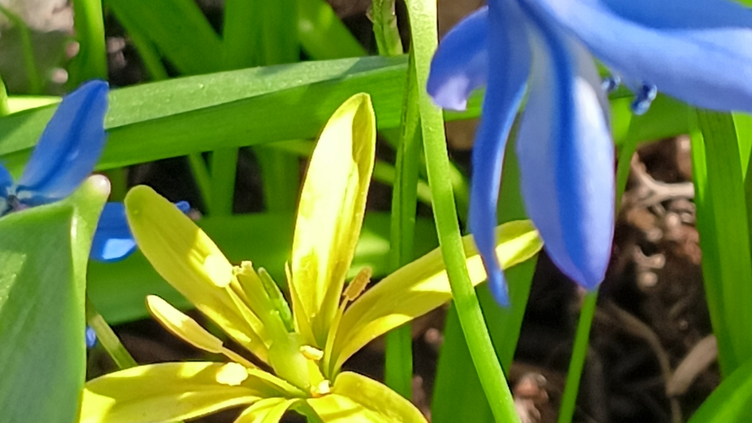 5ca9ed8b6ba5c22320605eec0bfd648c