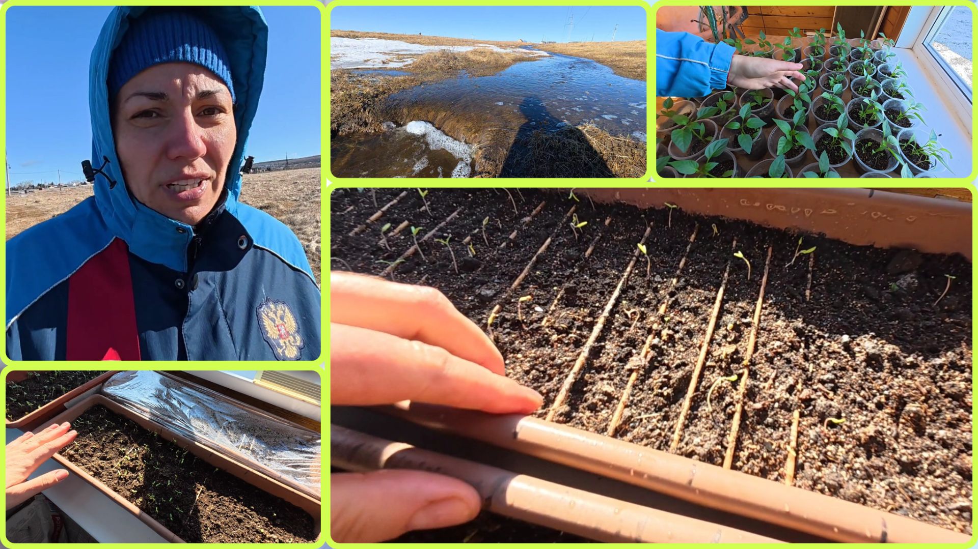 07.04.2026 // Всходы томатов и цветов // Хочу создать чат по снижению веса