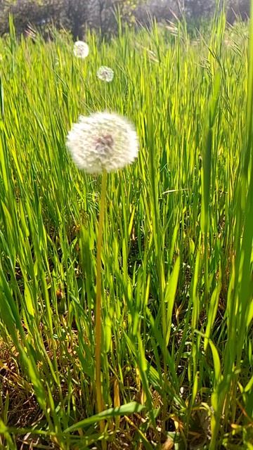 Скоро в Евпатории будет так