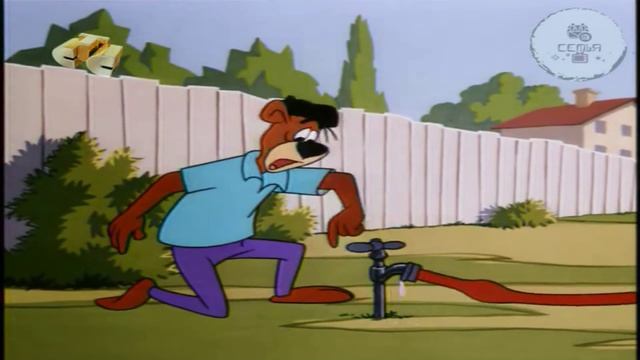 11 Семейный альбом Барри