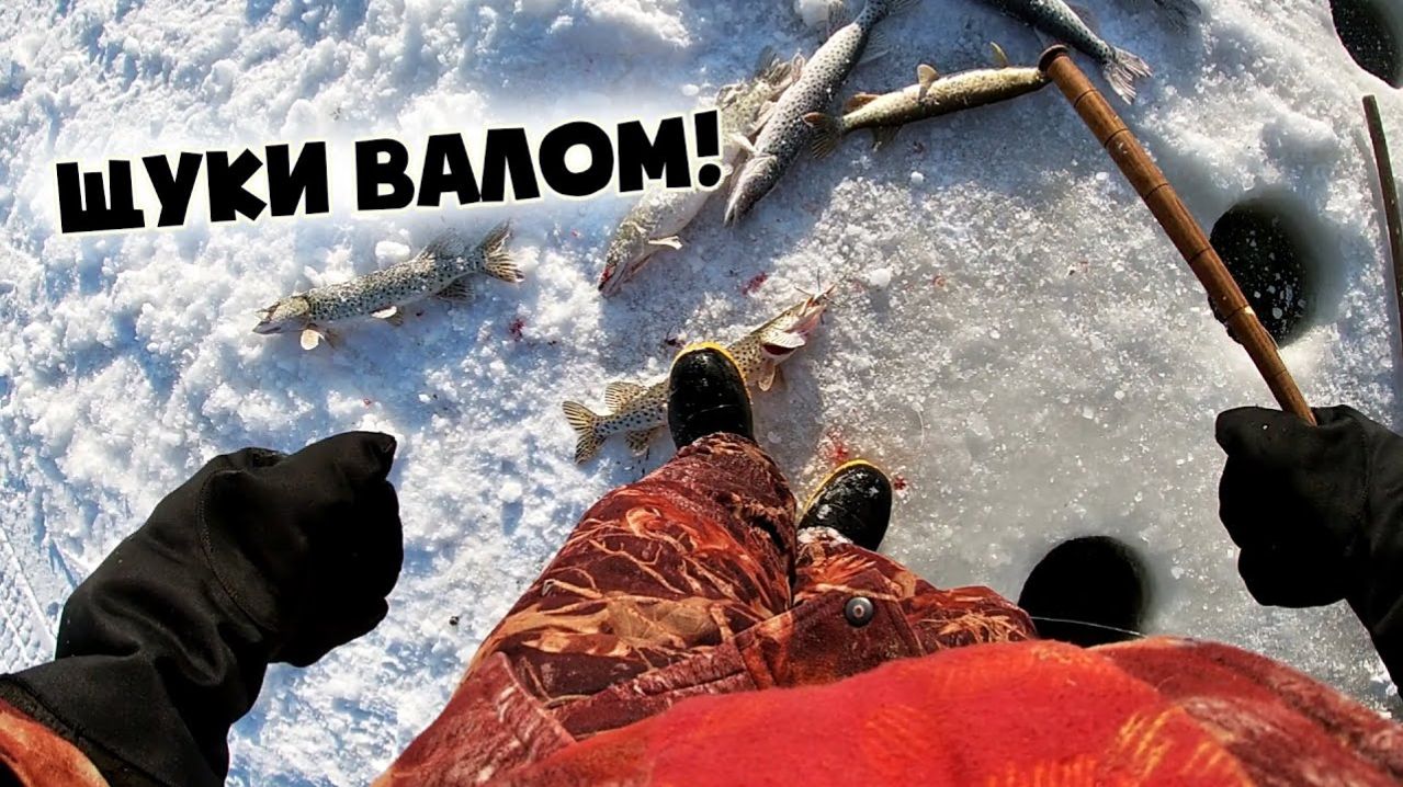 Щуки Очень Много. Наловил Целую Гору Хищной Рыбы. Лучшая Зимняя рыбалка на Амуре. Секретные Места