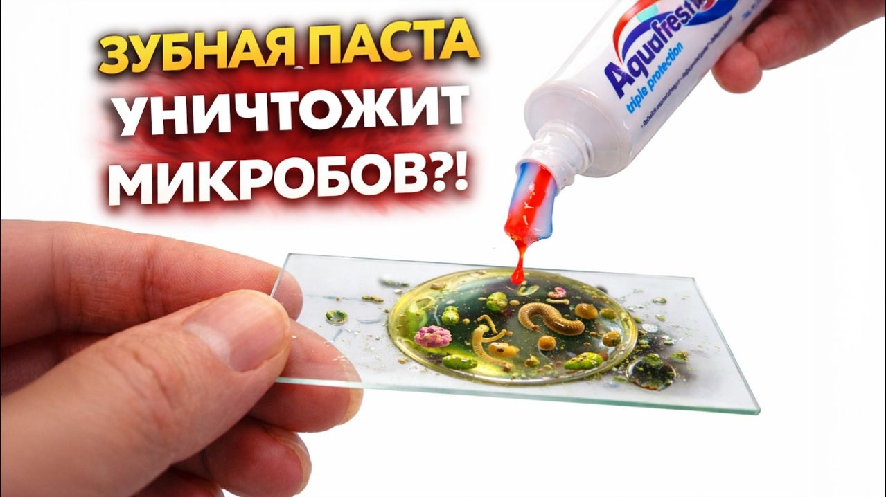 Что сделает ополаскиватель и зубная паста с МИКРОБАМИ? Реальный эксперимент под микроскопом