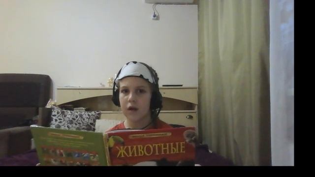 4ba38bcc67688bb9bf30d22e7d7c7405