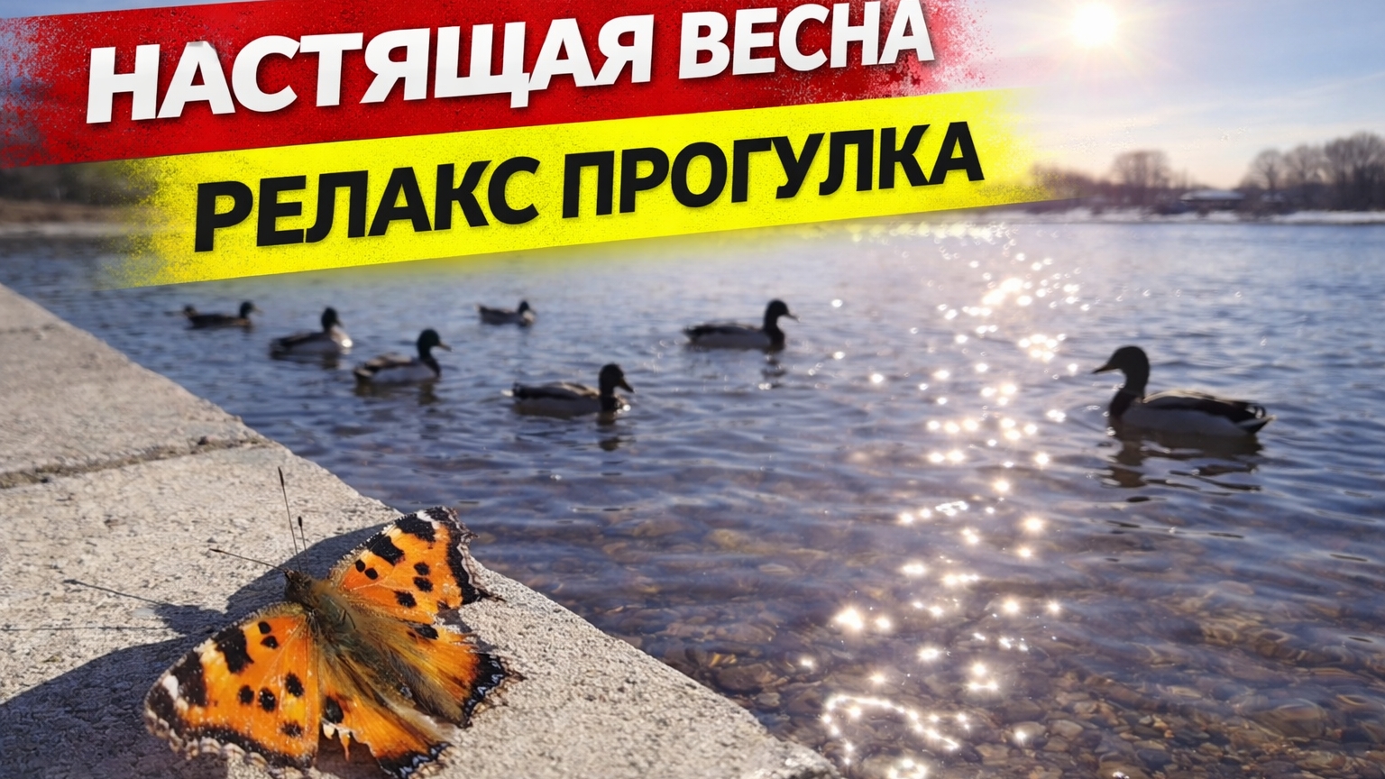 Весенний Воткинск: набережная, пруд и парк Времена года