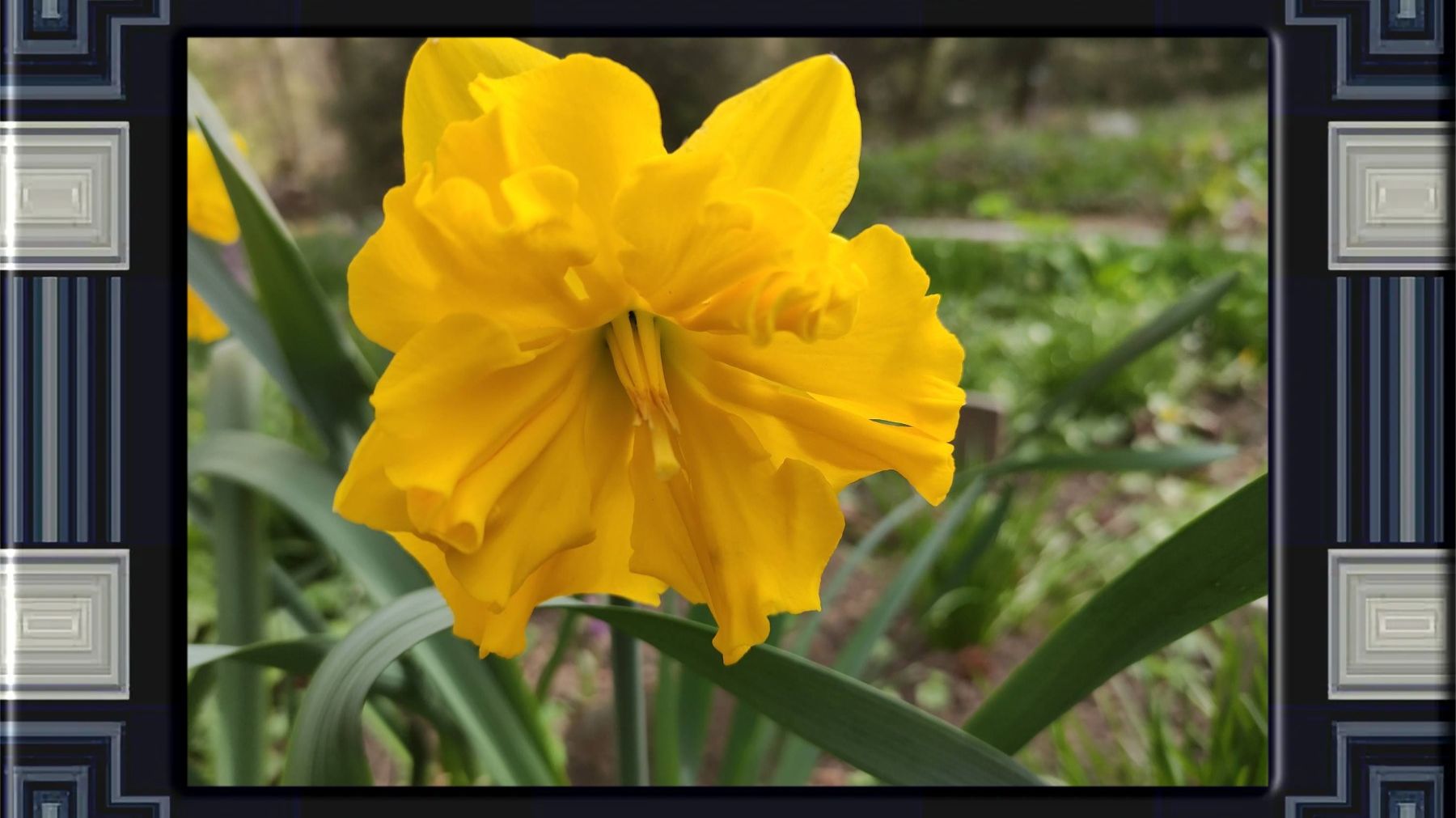 Ботанічний  сад   2026