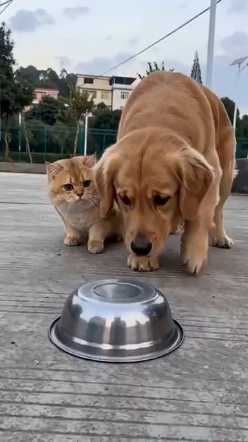 У каждого есть такой друг )))