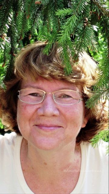 Остановиться, оглянуться