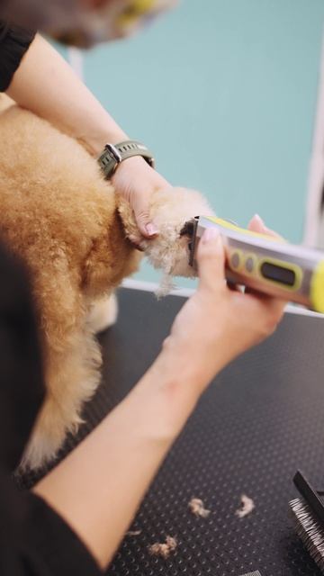 Приближение тепла — лучшее время для того, чтобы обновить образ💜