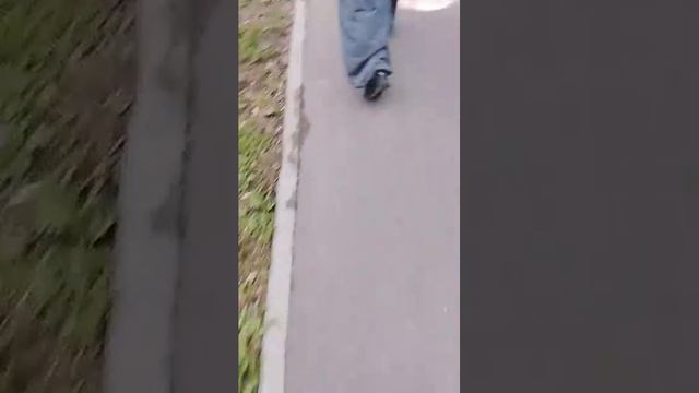 прогулка с друзьями