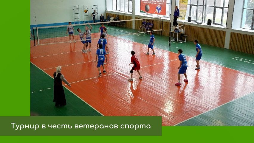 Турнир в честь ветеранов спорта
