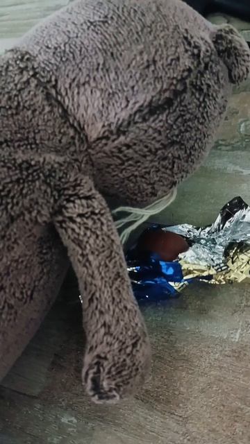 Басик ты опять своровал конфеты!!!