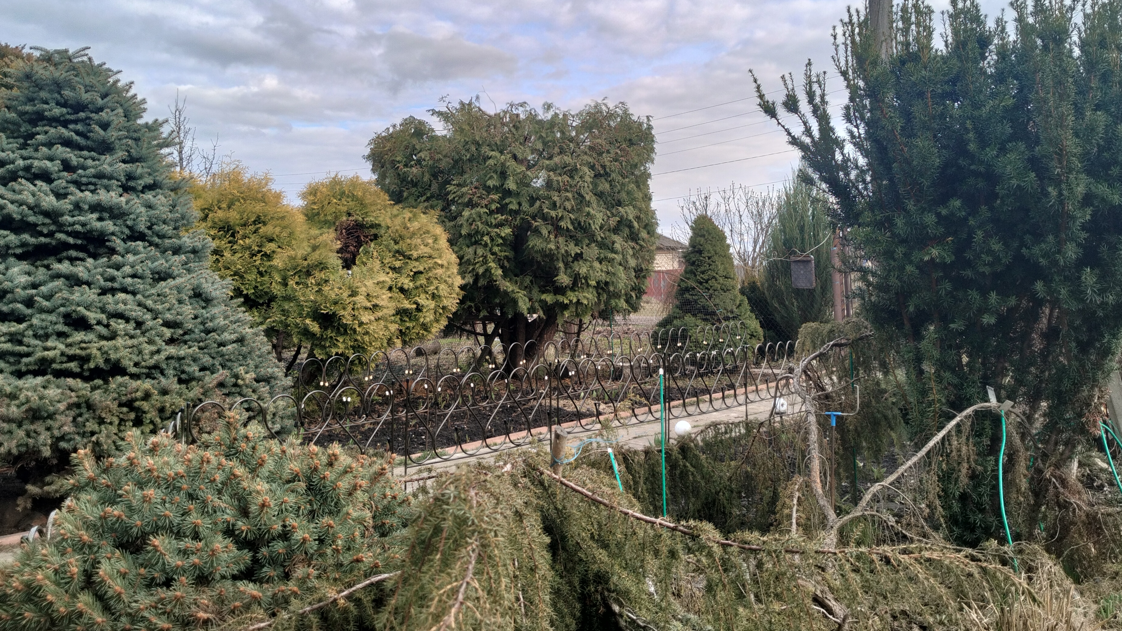 ОБЪЯВЛЕНИЕ ДЛЯ ПОДПИСЧИКОВ 🚨