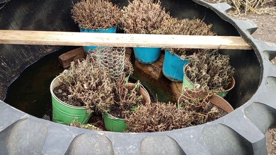 7f426f0db585610558f331b9b6492897