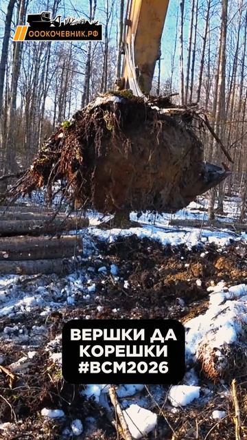 Корчёвка пней гусеничным экскаватором. Вид от первого лица💪