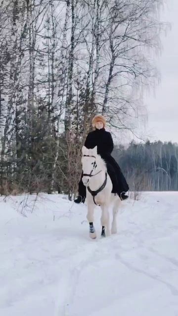 И еще раз мотивы Гардемаринов))