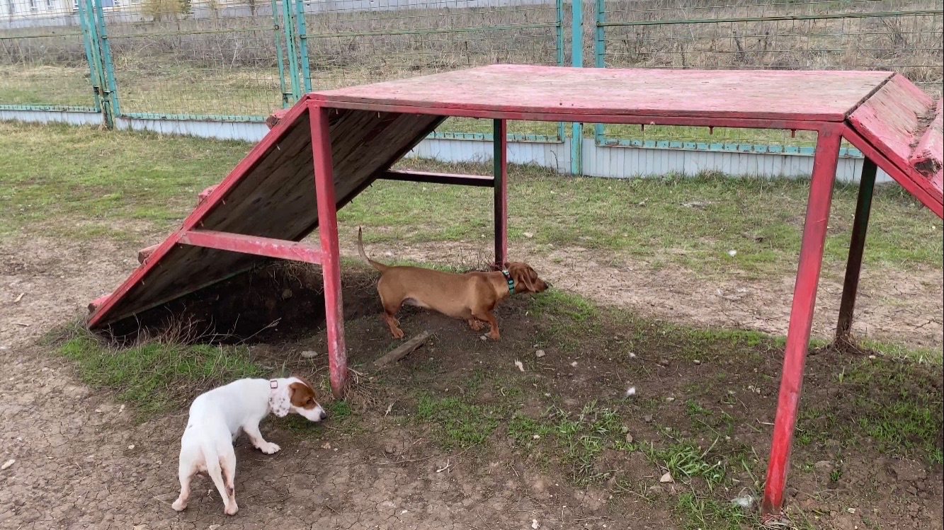 Вконтакте зачищают аккаунты и удаляют подписчиков