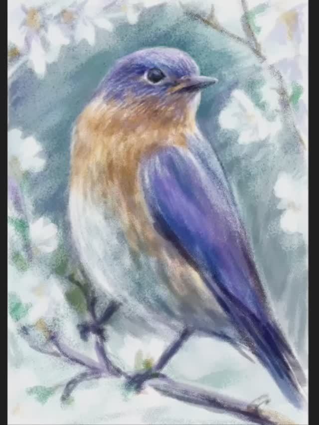 Рисунок в фотошопе. 
тестирую Kamvas Studio 16