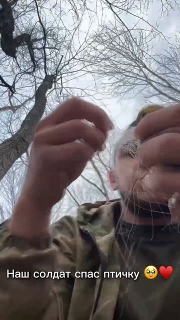 Наш боец спас птичку