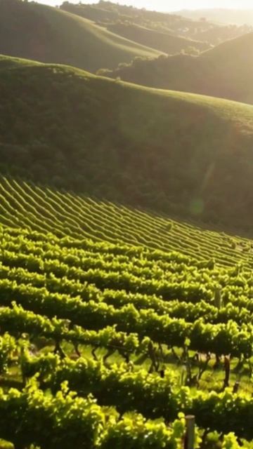 #тренды #новости #тренды2023 #стиль #популярность #инсайты