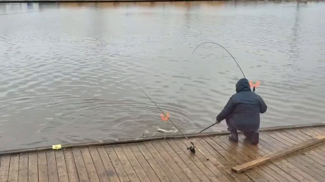 поимка форели.