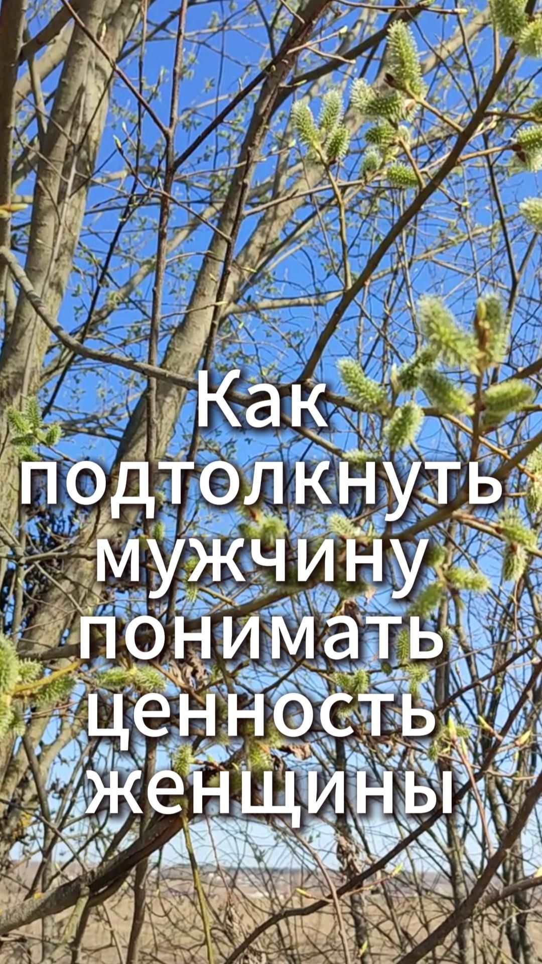 Как подтолкнуть мужчину понимать ценность женщины