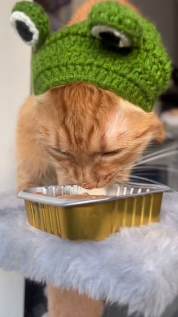 вкусно наверно