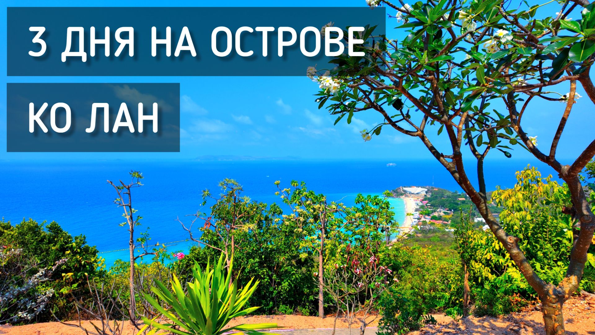 3 дня на Ко Лане 🏝️ Любимый пляж, кафе с десертами, ночной рынок еды, на байке по острову / Koh Lan