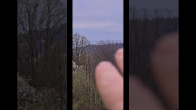 Участки в Сергей-Поле