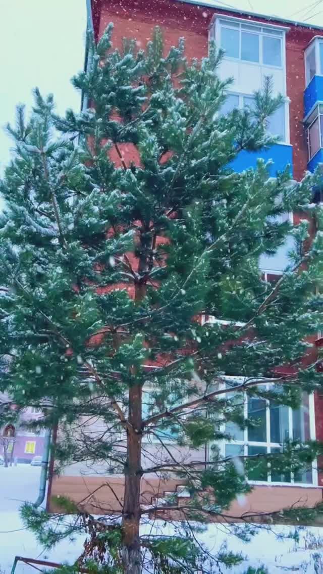 Наш город#automobile #short #shortvideo #shorts #2026 #status #музыка #song #зима #надеждажитина